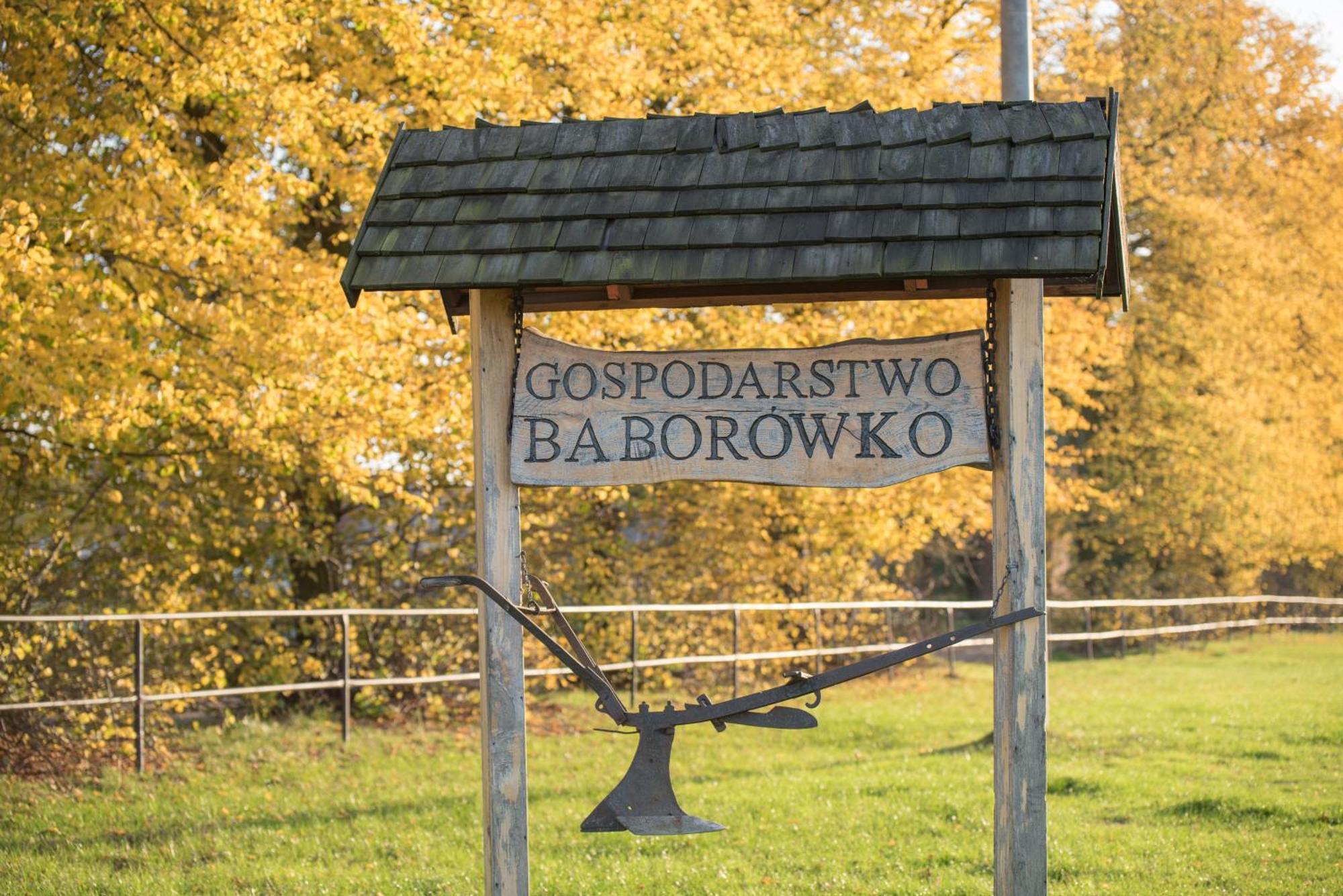 Palac Baborowko Szamotuły Buitenkant foto